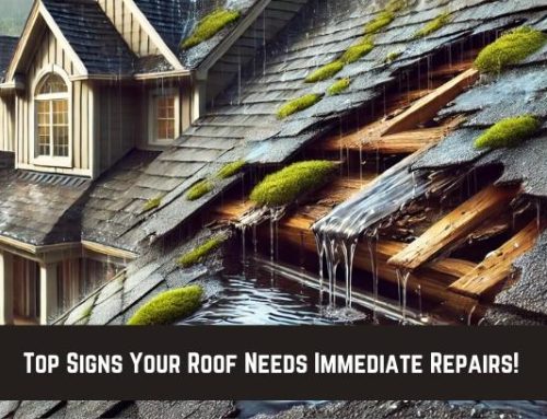 Top Signs Your Roof Needs Immediate Repairs!