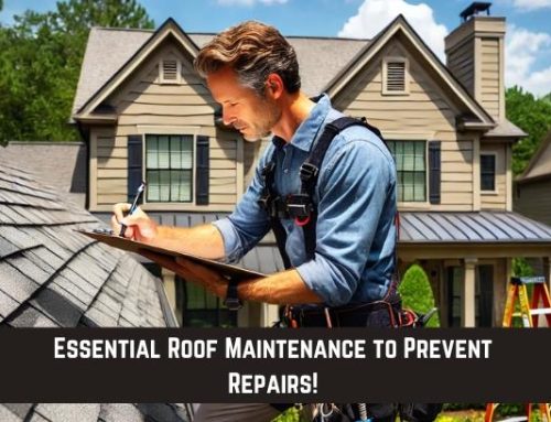 Essential Roof Maintenance to Prevent Repairs!